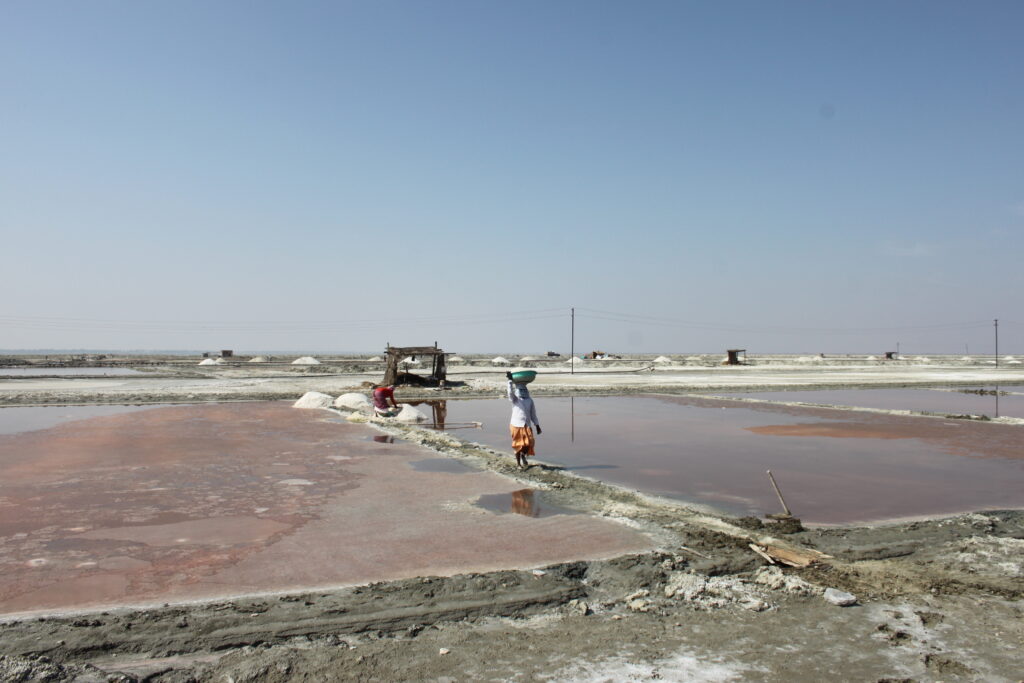 a person carrying a vessel on their head walks along a small embankment separating two shallow pools where salt is being mined