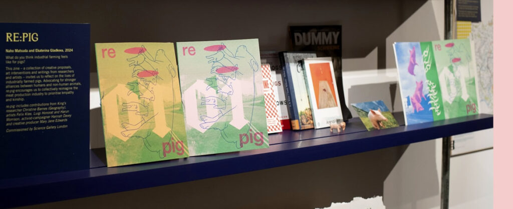 The Re:Pig zines and toy pigs on a shelf. The project focuses mainly on industrial pig farming in the UK