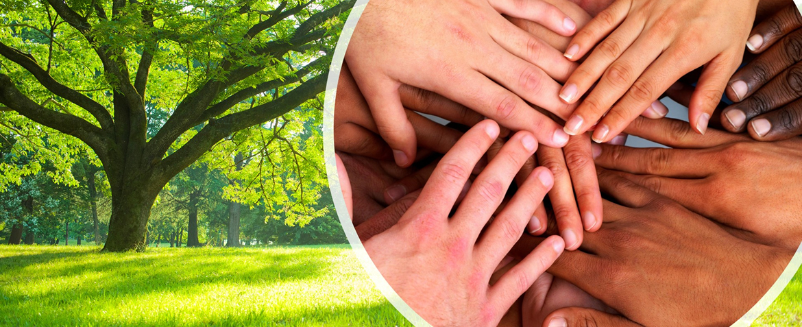 Transforming Urban Greenspaces - Knowledge Exchange